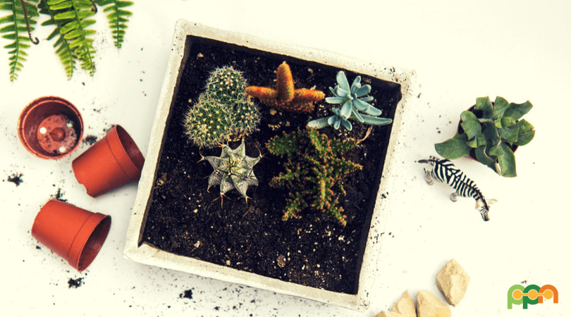 Learn How To Turn Trash Into Garden Treasures